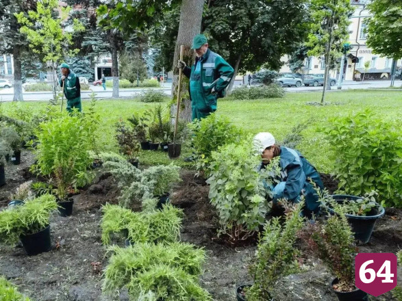 В Саратове высадят сотни деревьев и тысячи кустарников