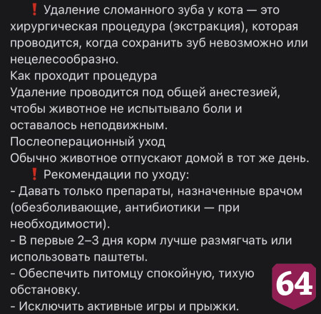 Саратовские ветеринары спасли кота со сломанным клыком