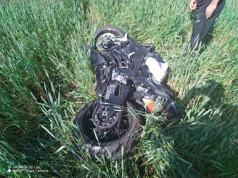 Под Саратовом мотоциклист насмерть сбил корову