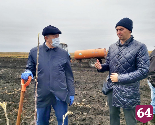 Для саратовского завода конструируют машину по сбору яблок 