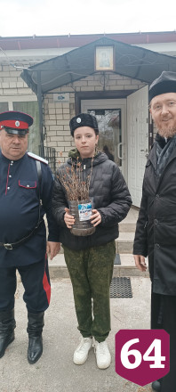 Жителям Саратовской области бесплатно раздают саженцы дубов