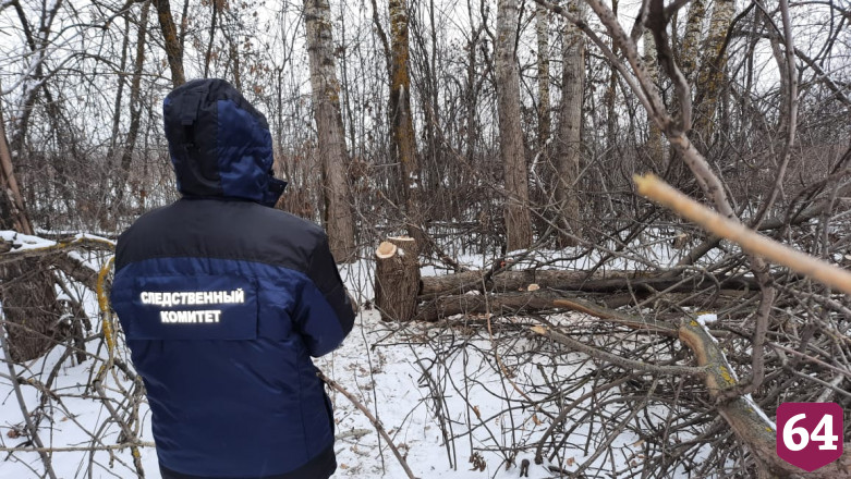 Спиленное дерево насмерть раздавило рабочего 