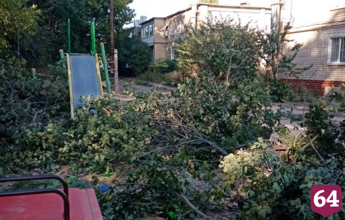 В Саратове дерево рухнуло на детскую площадку 