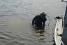 Под Саратовом водолазы вытащили из Волги тело утопленника
