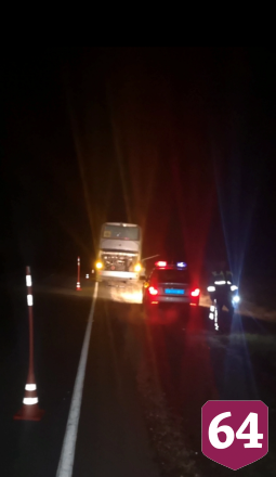 На трассе под Пензой автоинспекторы помогли школьникам из Саратова