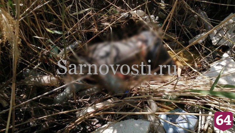 В канаве у морга найдено тело неизвестного 