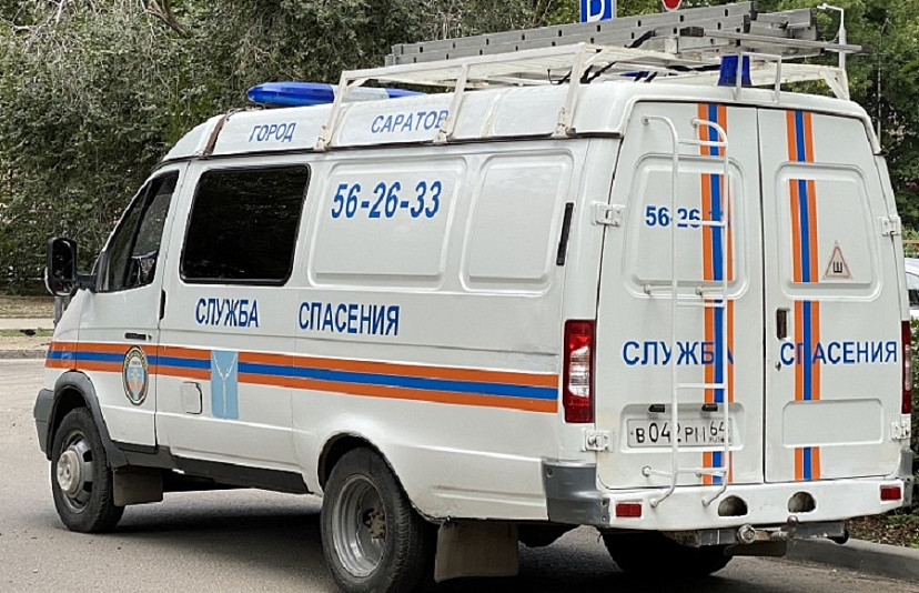 Под Саратовом в дом к женщине заползла гадюка 