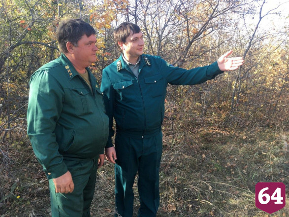 В саратовских лесах ловят нарушителей пожарной безопасности