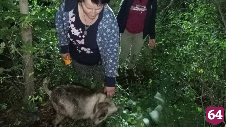 Под Саратовом спасли провалившегося в колодец козла