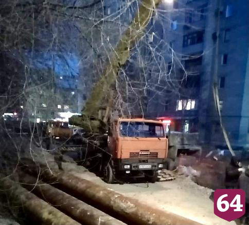 Чиновники пообещали высадить новые деревья во 2-м Детском проезде