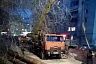 Чиновники пообещали высадить новые деревья во 2-м Детском проезде