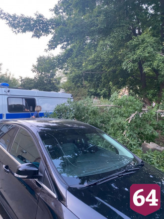 В Саратове из-за коммунальной аварии дерево рухнуло на машину
