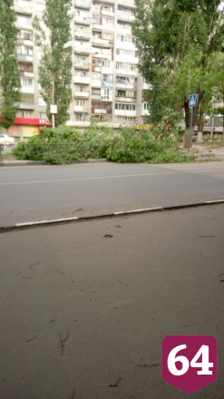 Ураган в Саратове валил деревья и срывал крыши домов