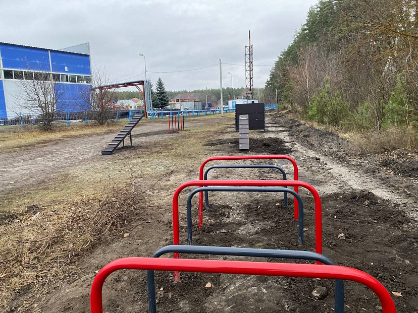 В саратовском райцентре появилась современная площадка для дрессировки собак