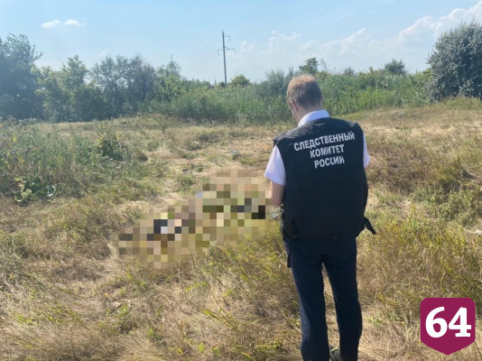 Пастух нашел в поле под Саратовом человеческие кости