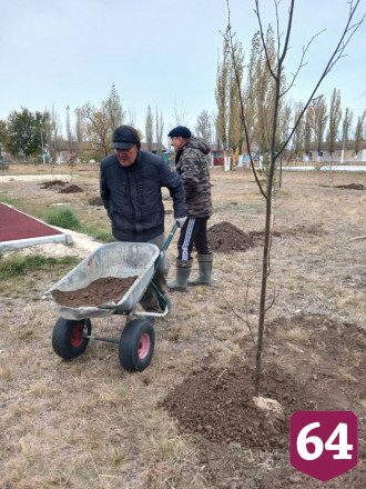 В детском лагере под Саратовом посадили липы и березы