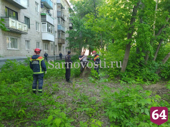 Спасатели уговорили нарушителя самоизоляции не прыгать с дерева 