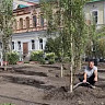 В городском парке Саратова проходит масштабная высадка деревьев