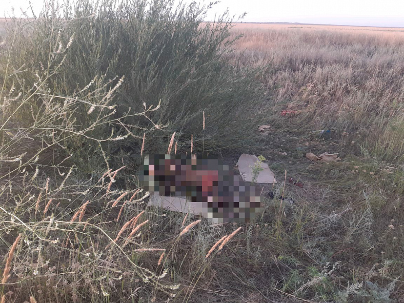 Тракторист обнаружил в кустах труп неизвестной женщины