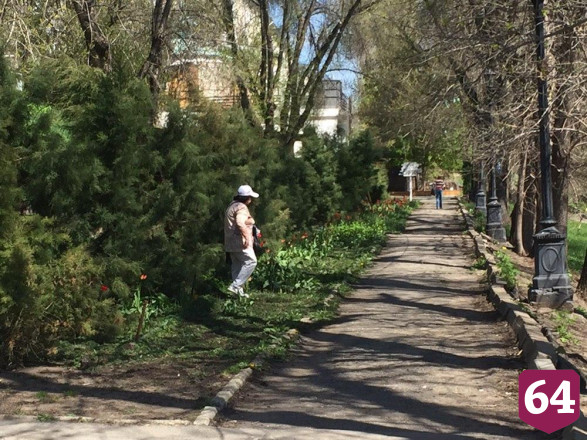 Первомайские прогулки саратовцы разнообразили купанием в Волге