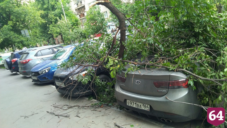 В центре Саратова ветка рухнула на два автомобиля