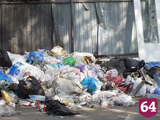 Саратовцы пожаловались на логово крыс в свалке отходов