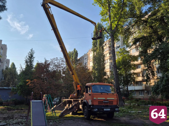 В сквере по просьбам саратовцев провели уборку и высадили деревья 
