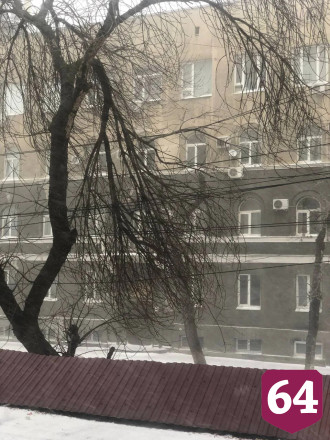 Саратовцы сообщают о поваленных деревьях и нулевой видимости на трассах