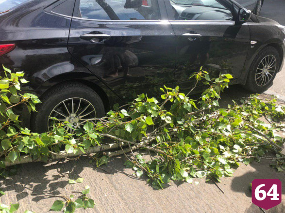 Рухнувшая ветка тополя повредила «Хендай» автоледи