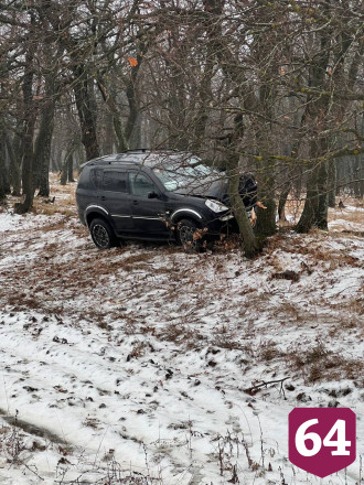 Женщина и трое детей пострадали в ДТП с деревом