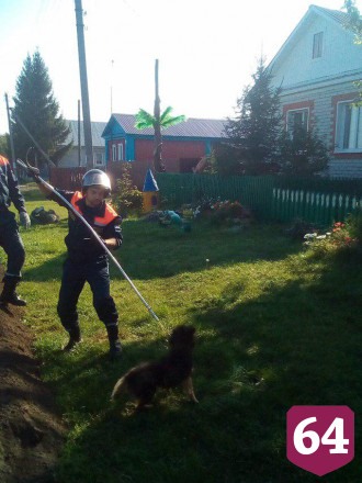 Спасатели пришли на помощь упавшей в яму собаке