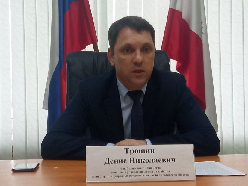 В Саратовской области финансирование воспроизводства леса увеличилось в пять раз