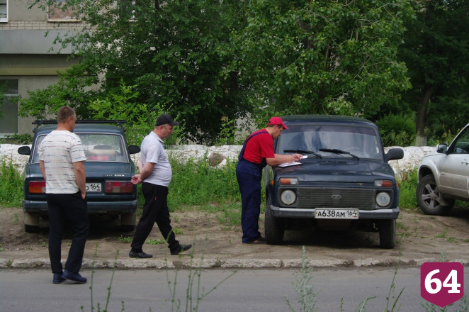 В Саратове бездомные собаки загнали косулю под автомобиль