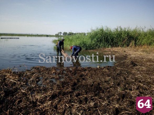 Водолазы вытащили из Волги тело рыбака