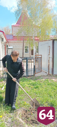 Жителям Саратовской области бесплатно раздают саженцы дубов