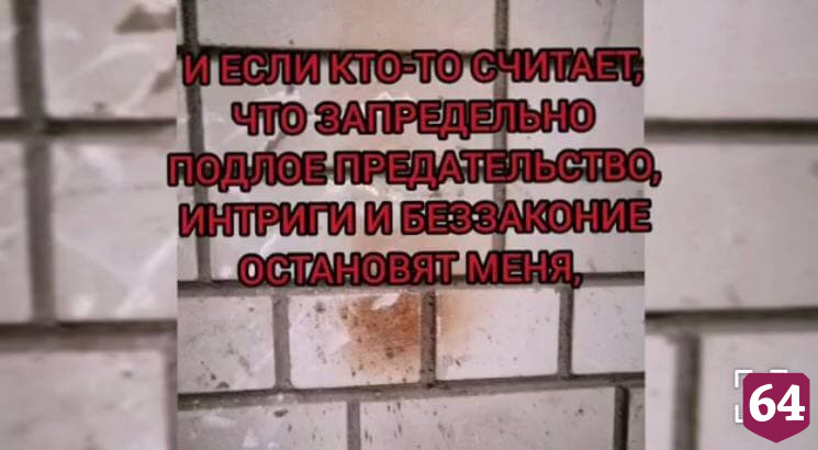 Саратовские полицейские за год не нашли растерзавшего собаку живодера 