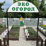 Соцсети восхитил экоогород с необычными грядками в саратовском детсаду