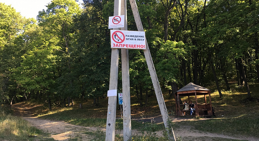 Саратовцы вопреки запретам жарят шашлыки на Кумысной поляне 