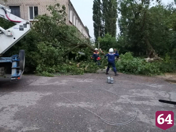 В Саратовской области ураган повалил 132 дерева