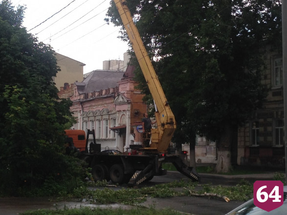 В центре Саратова из-за опиловки деревьев перекрыли движение
