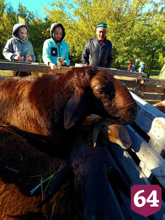 На саратовском фестивале баранины кормили шашлыком и пловом