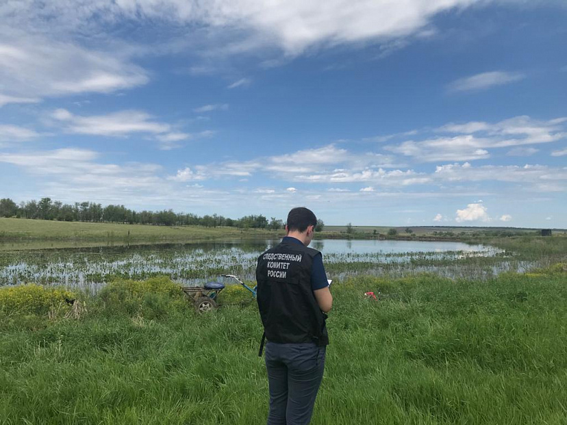 Под Саратовом пастух утонул вместе с лошадью