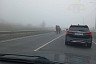 Верблюды замедлили движение на саратовской трассе