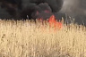 Пожарные отбивают от огня дома у реки Гуселки