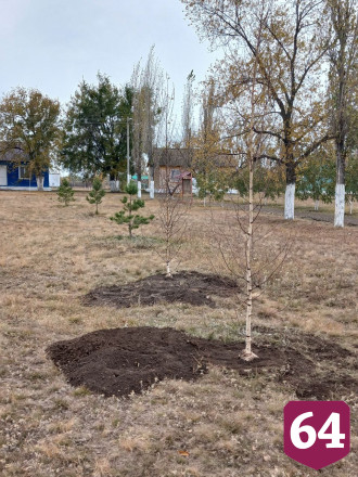 В детском лагере под Саратовом посадили липы и березы