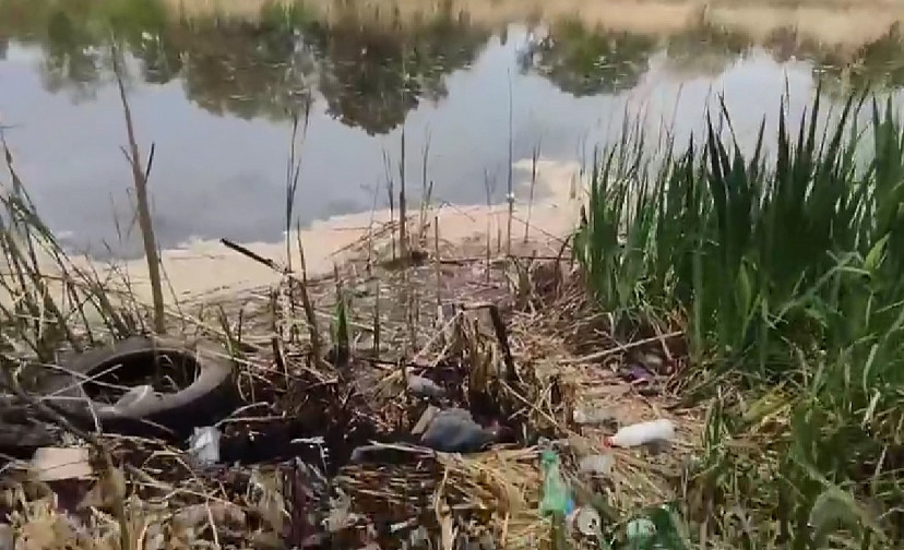 Саратовцы попросили установить у водоемов баки для мусора