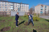 Депутат Госдумы приобрел 300 деревьев для городского субботника