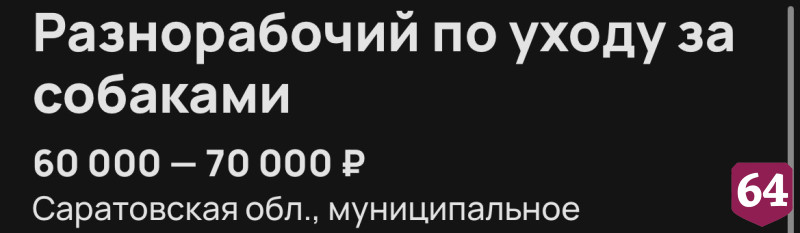 В Саратове готовы платить 70 тысяч за работу с проживанием в собачьем приюте