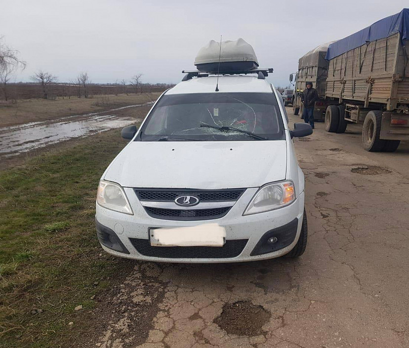 Под Саратовом мужчина перебегал дорогу и попал под «Ларгус»