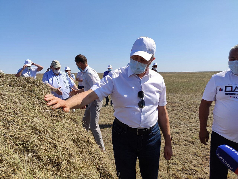 Саратовские фермеры пожаловались губернатору на сильную засуху